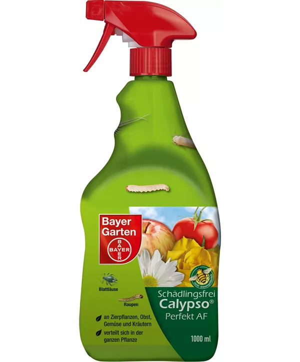 Insektizid, Bayer Schädlingsfrei Calypso Perfekt AF Geschickt Pflanzen