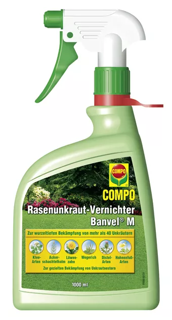 Herbizidspray von COMPO, Rasenunkraut-Vernichter Banvel M Spray - Geschickt  Pflanzen
