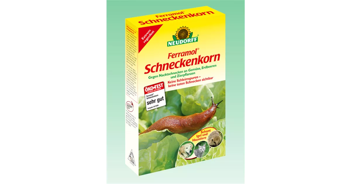denns saatgut Bio Alfalfa Sprossen Samen kaufen  Bio-zertifiziert